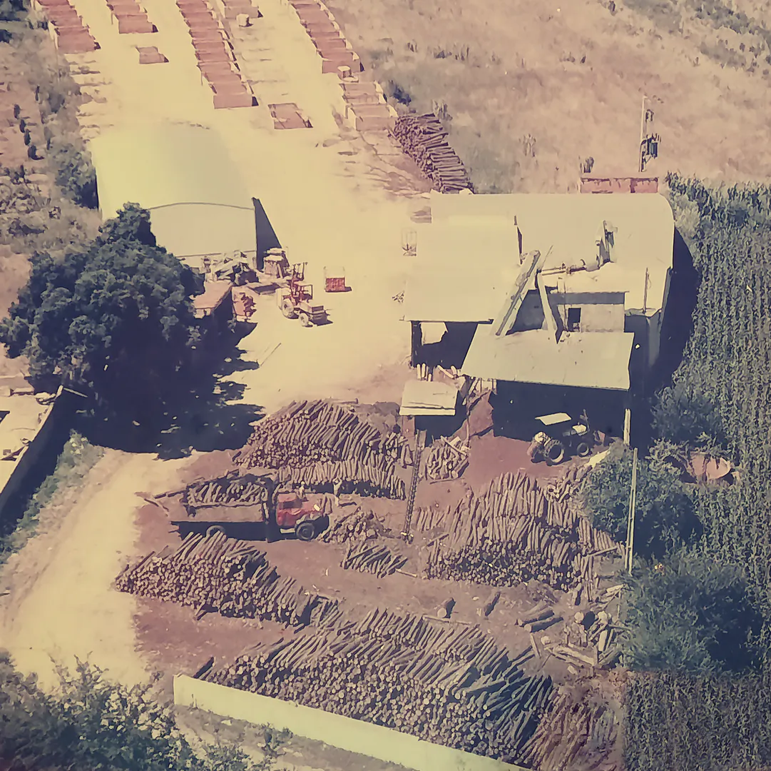 Serração por volta de meados dos anos 1990